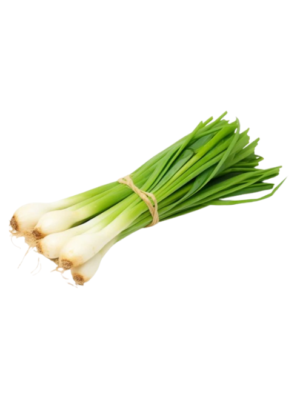 Cebolla Calçots