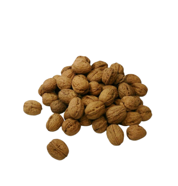 Nueces