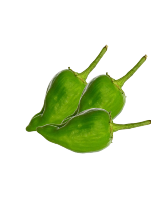 Pimiento Padrón