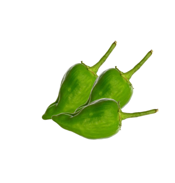 pimiento padron Pimiento Padrón