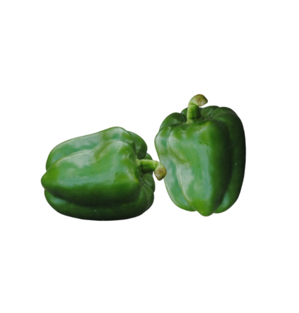 pimiento verde Pimiento Verde Italiano