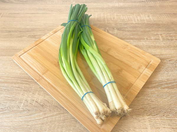 cebolla china (1) Cebolla China Manojo