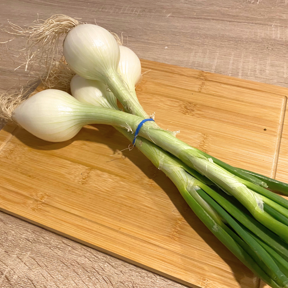 cebolla tierna manojo (1) Cebolla Tierna Manojo Unidad