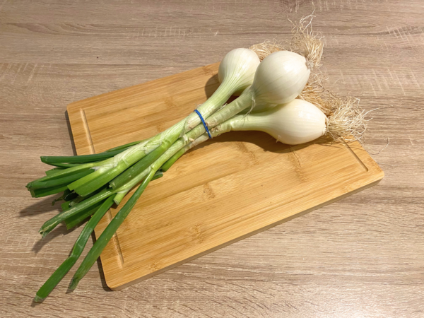 cebolla tierna manojo (2) Cebolla Tierna Manojo