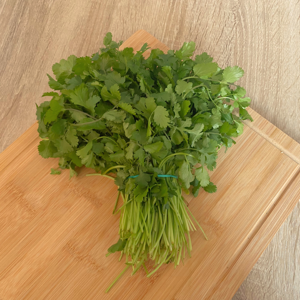 Cilantro