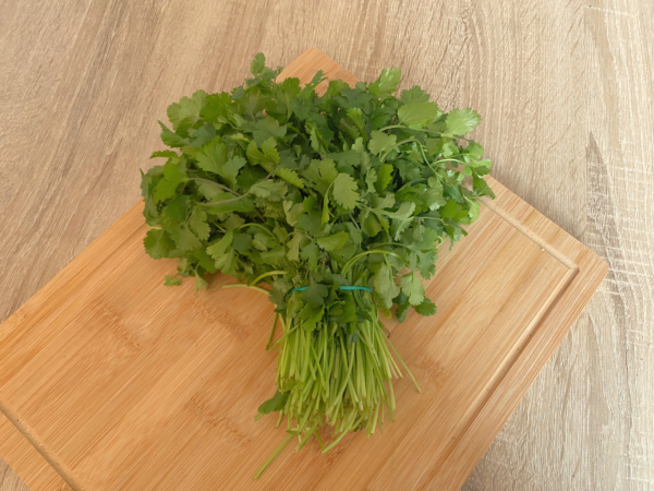 Cilantro