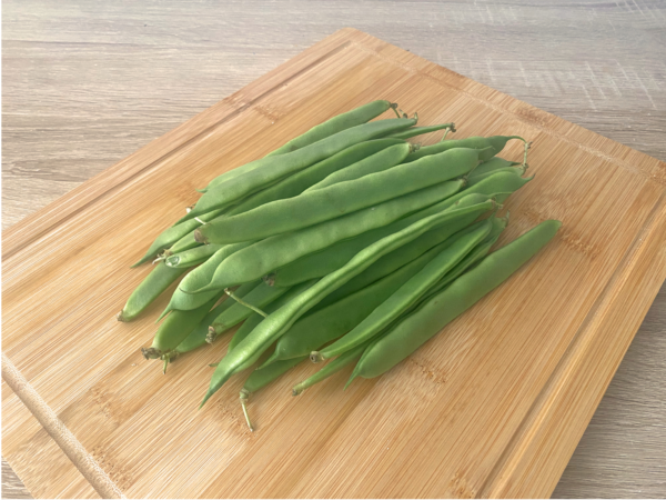 judia perona maresme (1) Judía Perona