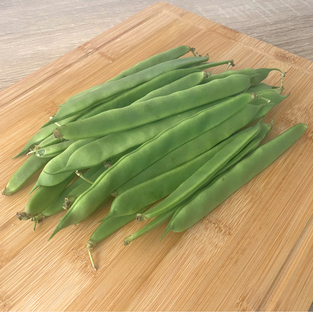 judia perona maresme (2) Judía Perona