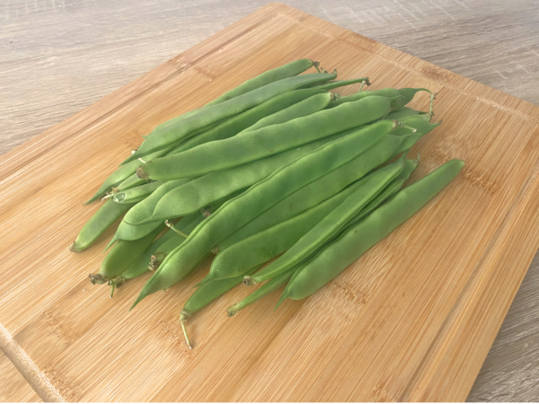 judia perona maresme (2) Judía Perona