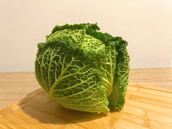 lechuga (1) Lechuga Escarola