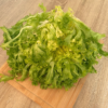 lechuga escalora Lechuga Escarola