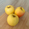 Manzana Golden
